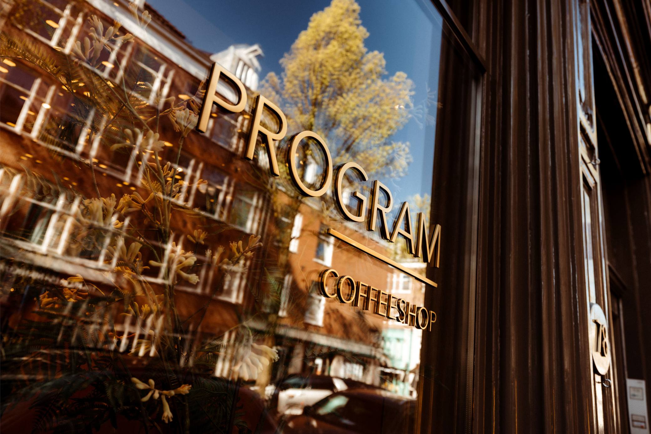PROGRAM retail interior with warm materials and lighting